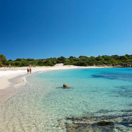 Amazing View Fronte Mare Olbia